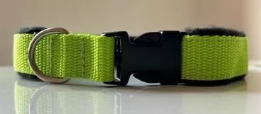 Welpenhalsband - grün/schwarz